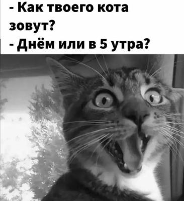 Прикрепленное изображение: photo_2024-01-29_14-18-27.jpg